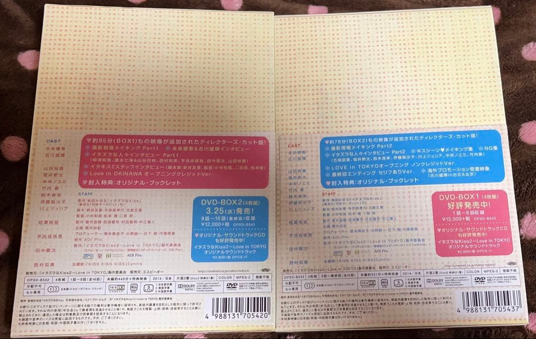イタズラなKiss Love in TOKYO2 DVD