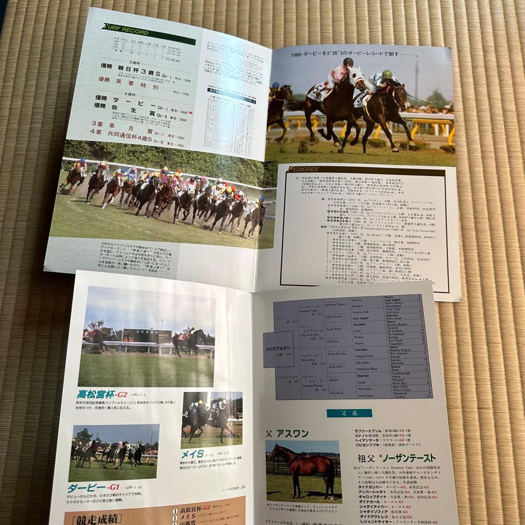 ぬ*様 昭和希少 種牡馬パンフレット サクラチヨノオー ダービー勝利馬２着メジロ
