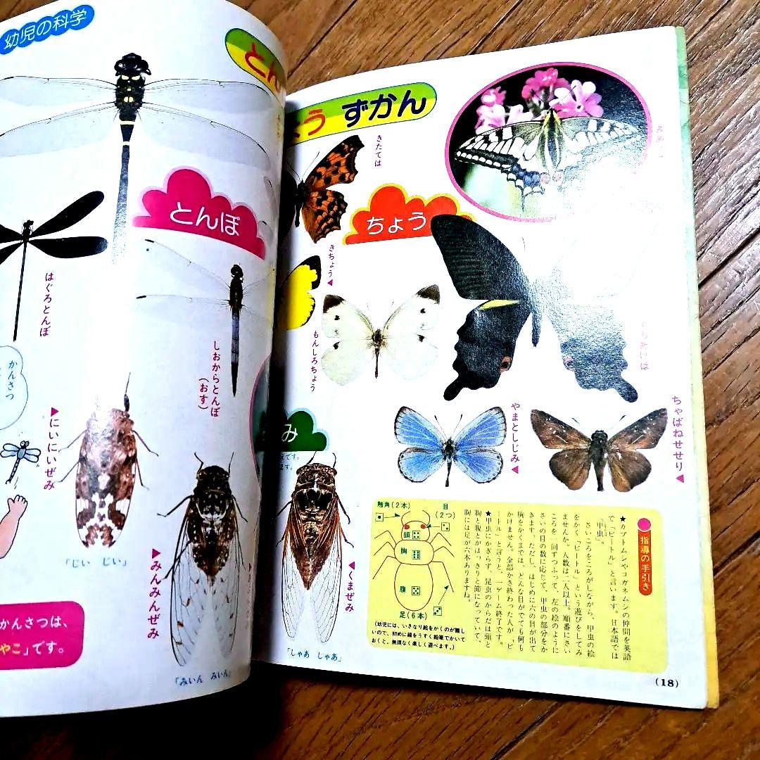 小学館　幼稚園　8月号　昭和55年