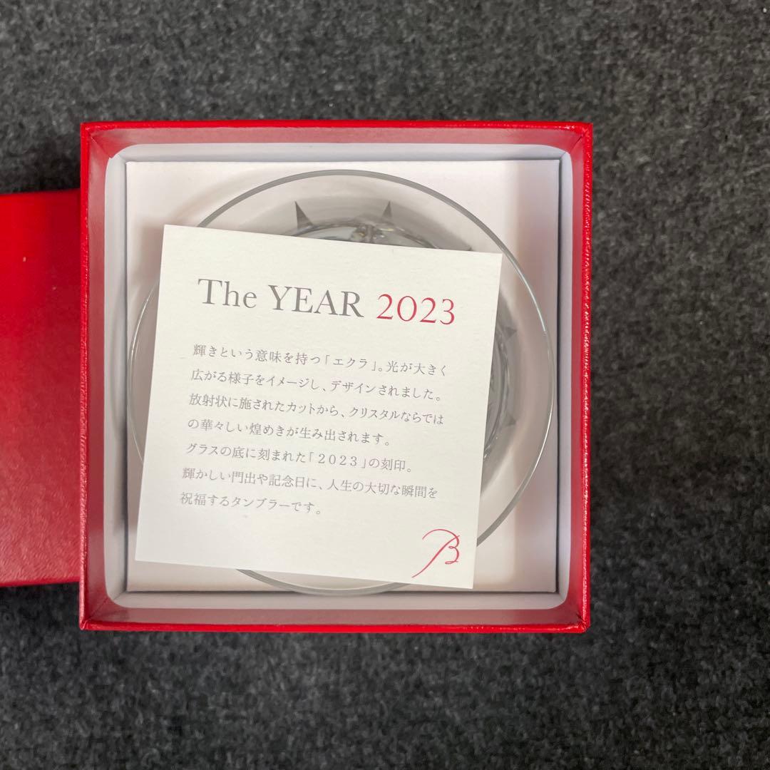 バカラグラス　大　2023
