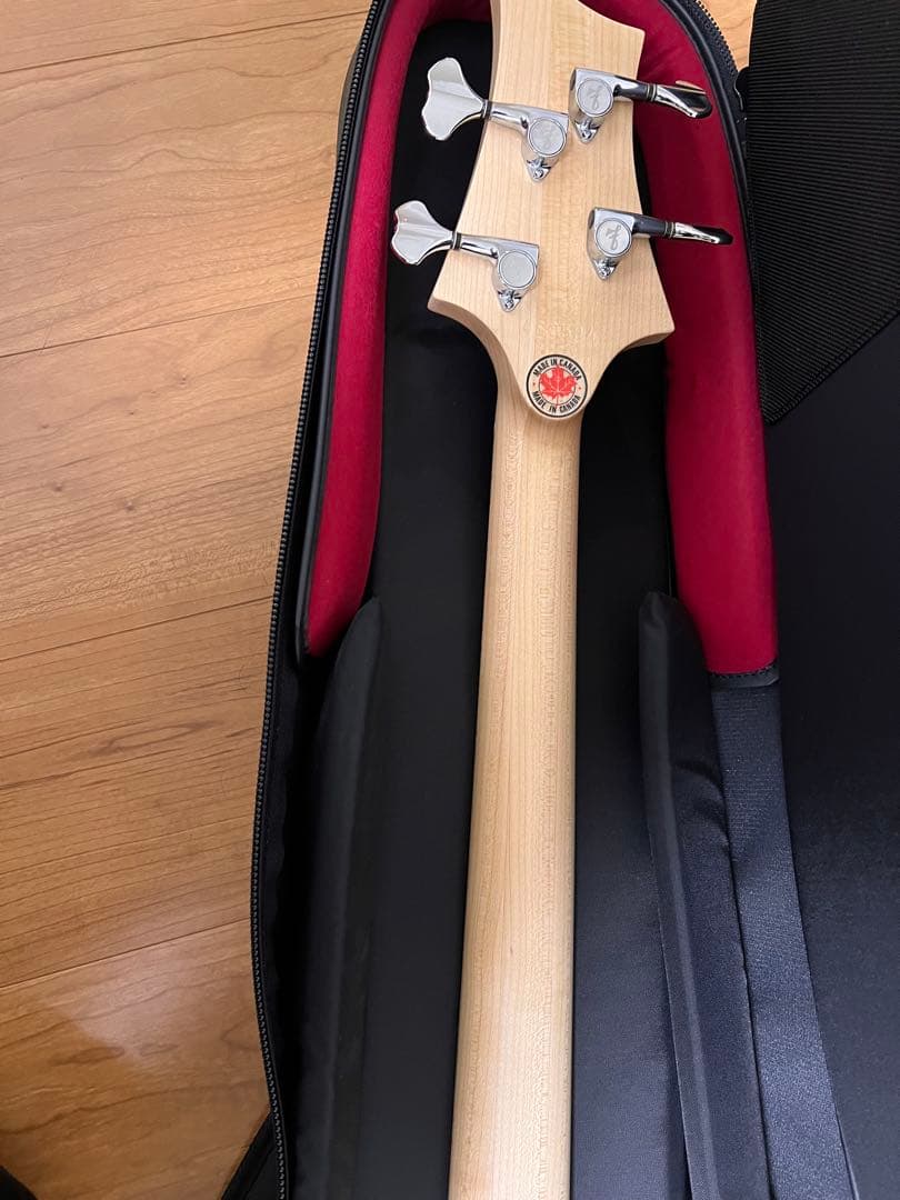 【美品】F-bass BN4 2024年製
