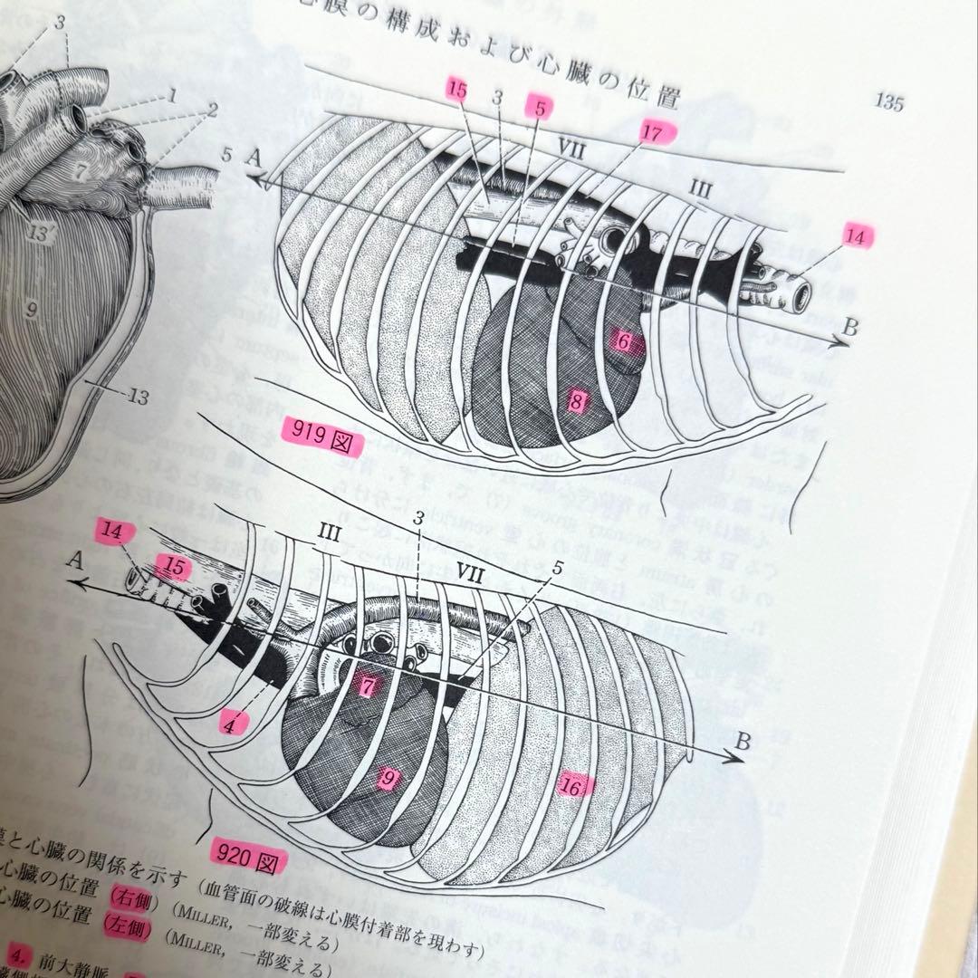 新編家畜比較解剖図説 上巻と下巻　２冊セット