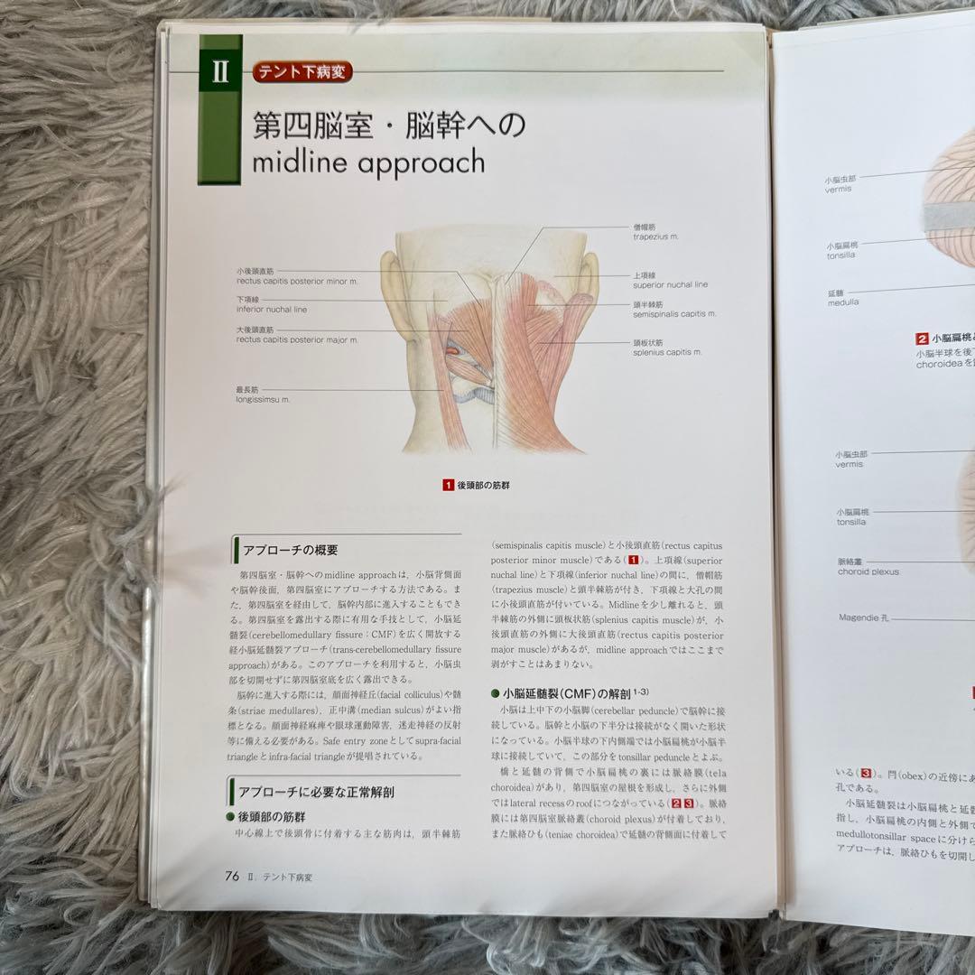新脳神経外科手術のための解剖学 = ANATOMY FOR NEUROLOGI…