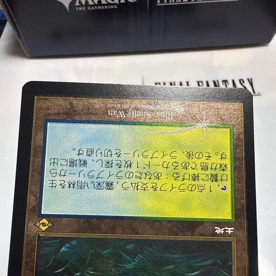 MTG 霧深い雨林 旧枠　エッチングfoil 日2枚