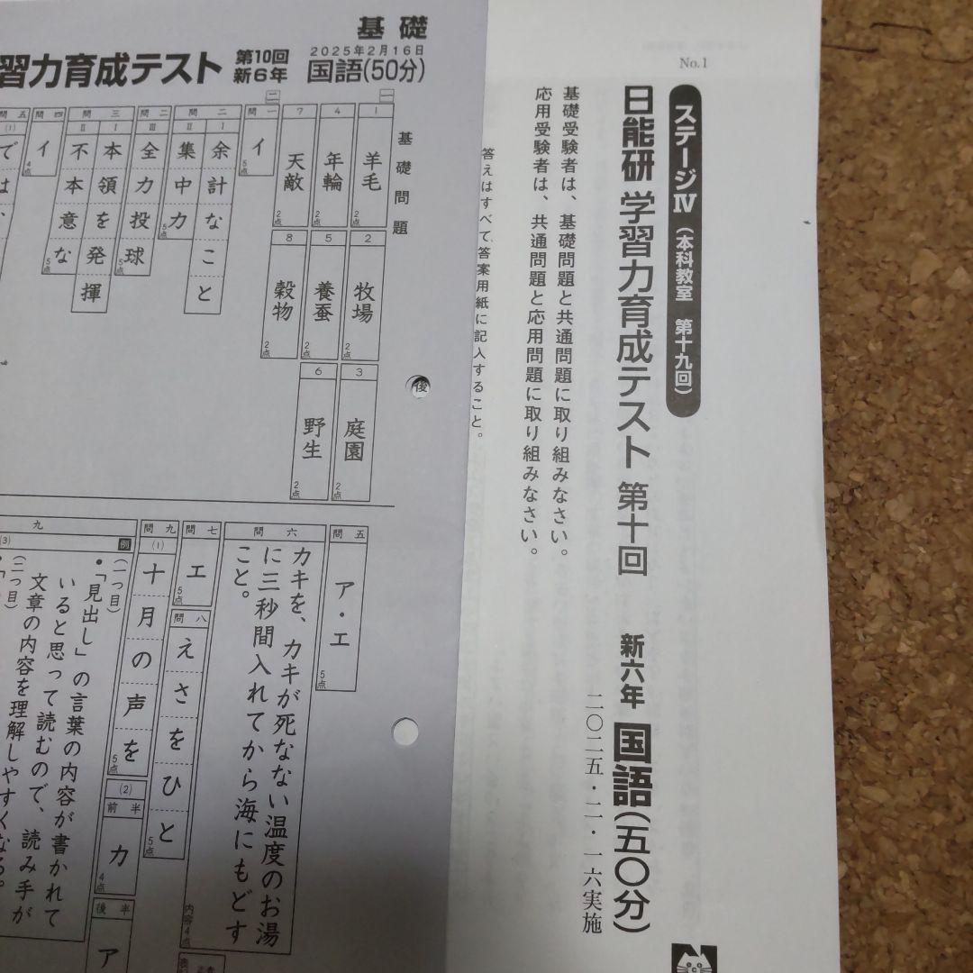 日能研 学力育成テスト 新6年