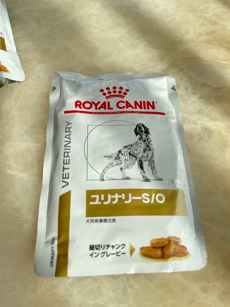  CANIN ユリナリー-S/O 犬用　100g×37パック