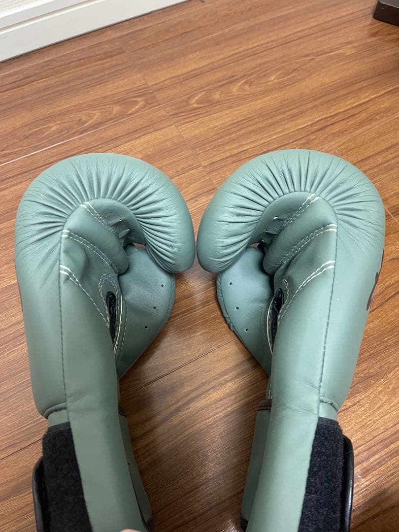 Fairtex F-DAY 12ozグリーン ボクシンググローブ