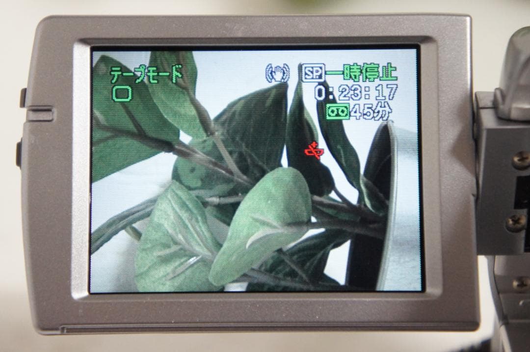 美品 IXY DV M3 Canon ダビング MiniDVビデオカメラ 303