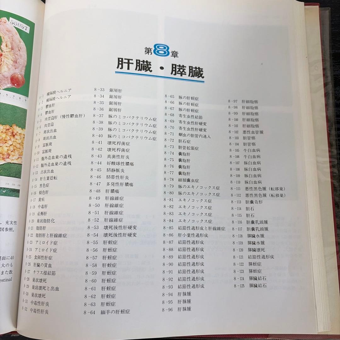 食肉衛生検査病理学カラーアトラス