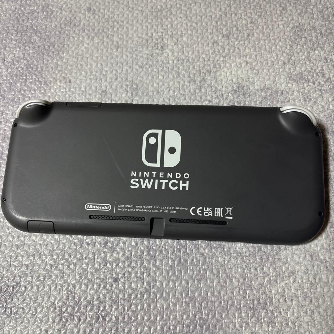 Nintendo Switch ライト本体 ACアダプター付き