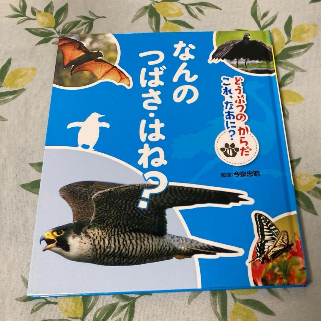 どうぶつのからだ　これ、なあに？ 　絵本　動物 図鑑　5冊セット
