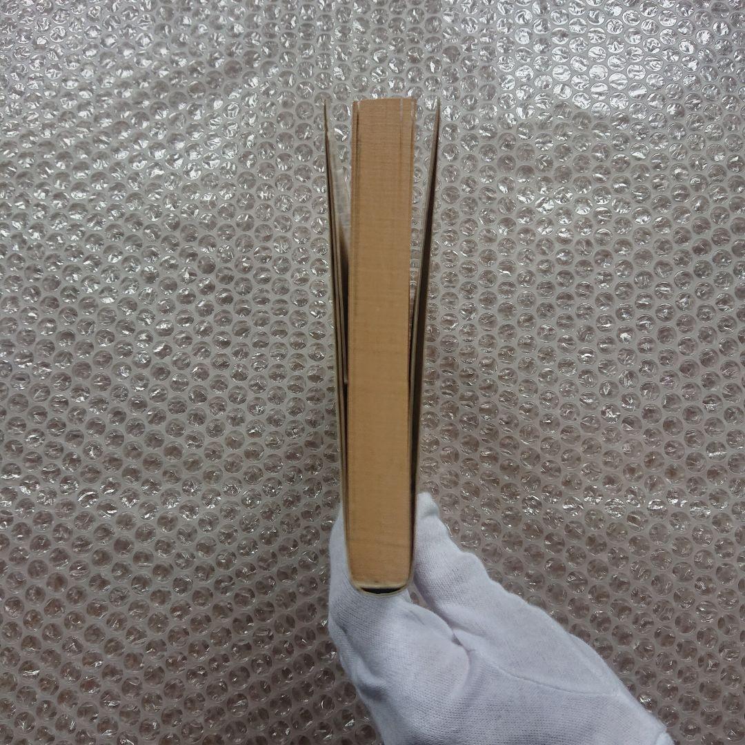 早見純 美しき屈折