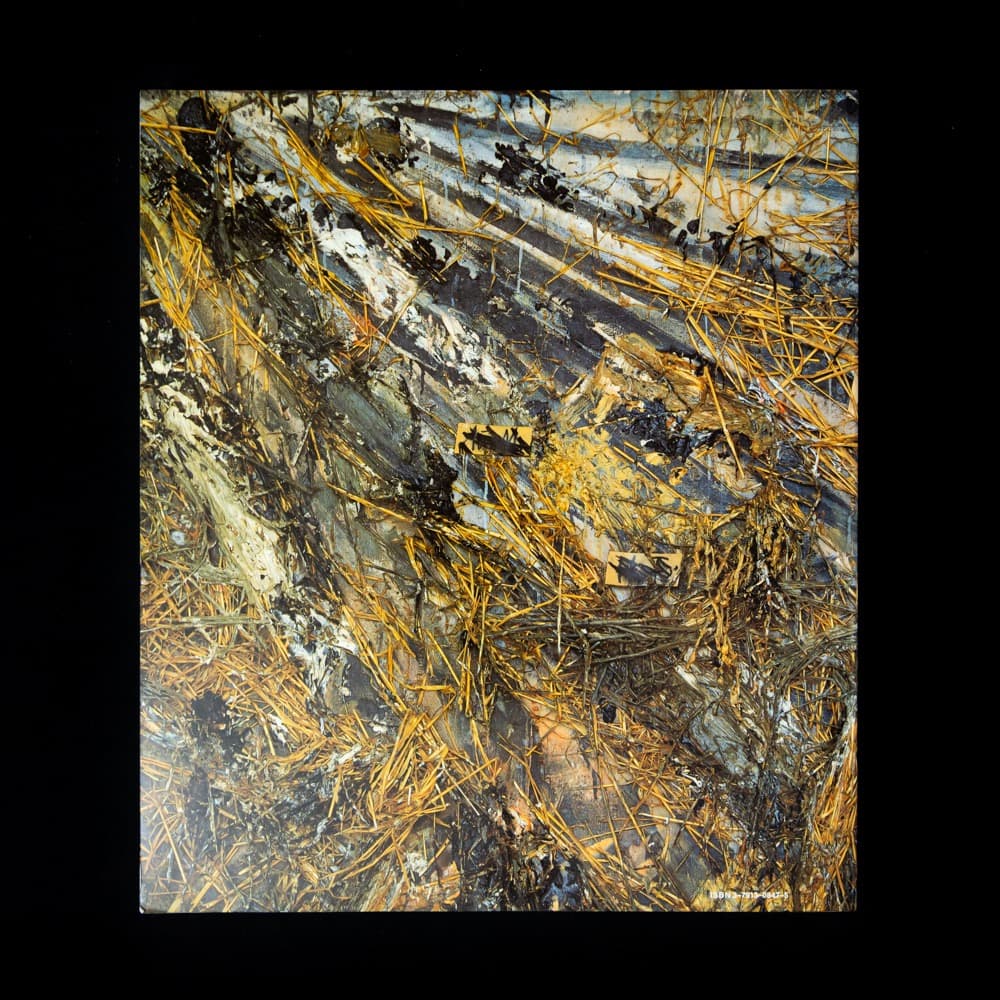 Anselm Kiefer/ アンゼルム・キーファー 作品集.