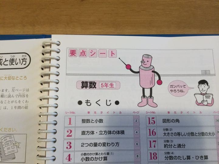 小５算数　塾なし　クロスカリキュラム　教材　右脳教育