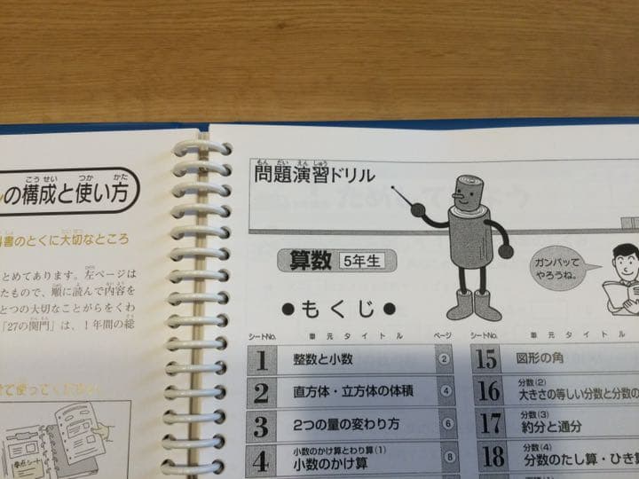小５算数　塾なし　クロスカリキュラム　教材　右脳教育