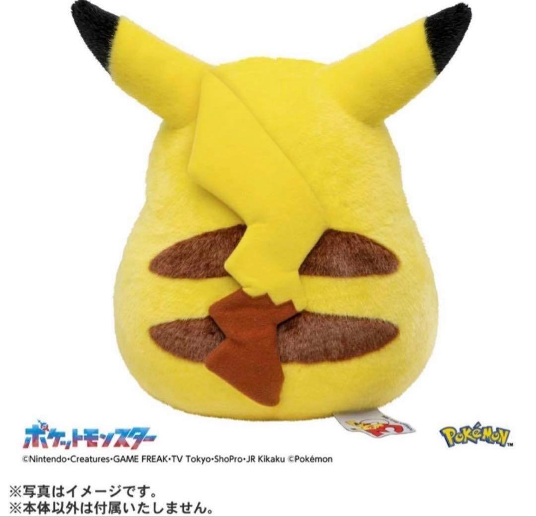 新品未開封 ポケモン30周年記念おかえり!ピカチュウ1/1