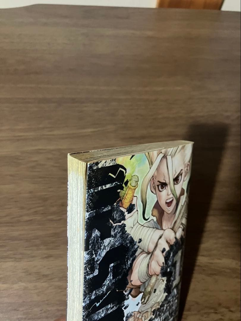 漫画　小説　DVD パンフレットなどまとめ　ドクターストーン、光が死んだ夏