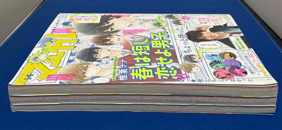 マーガレット2018年14号 中川大志
