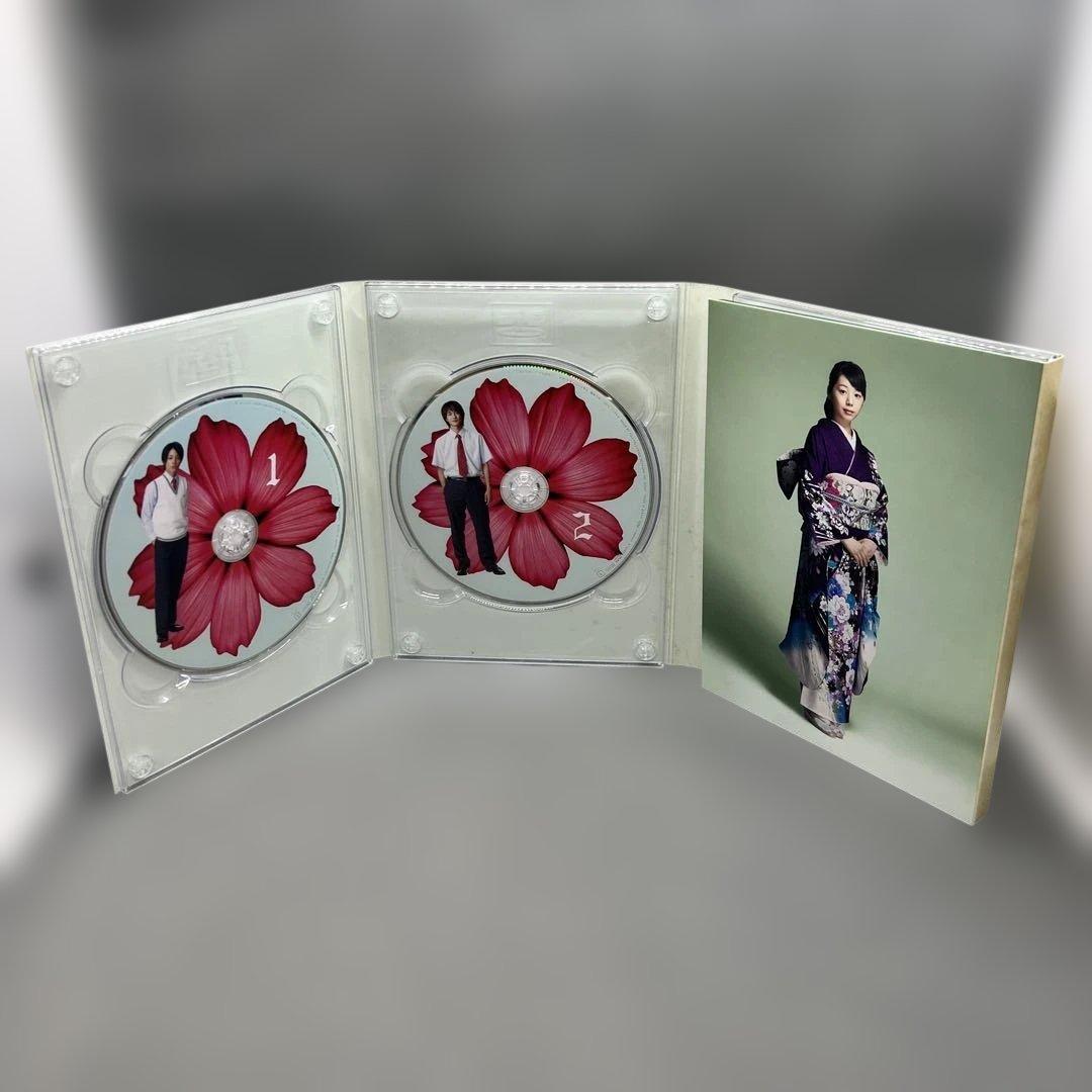 オトメン（乙男）DVD-BOX DVD7枚組 岡田将生 夏帆