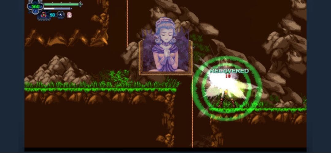CHRONICLES OF THE WOLF Switch ニンテンドースイッチ