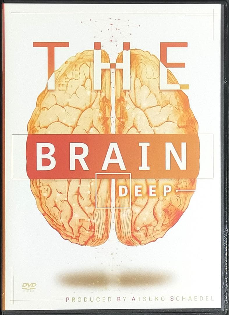 シェイデル敦子 THE BRAIN ＋ 川村修一 Theキネシオロジーセミナー