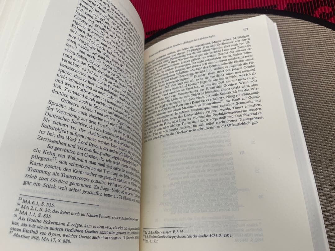 洋書 Freiburger literaturpsychologische