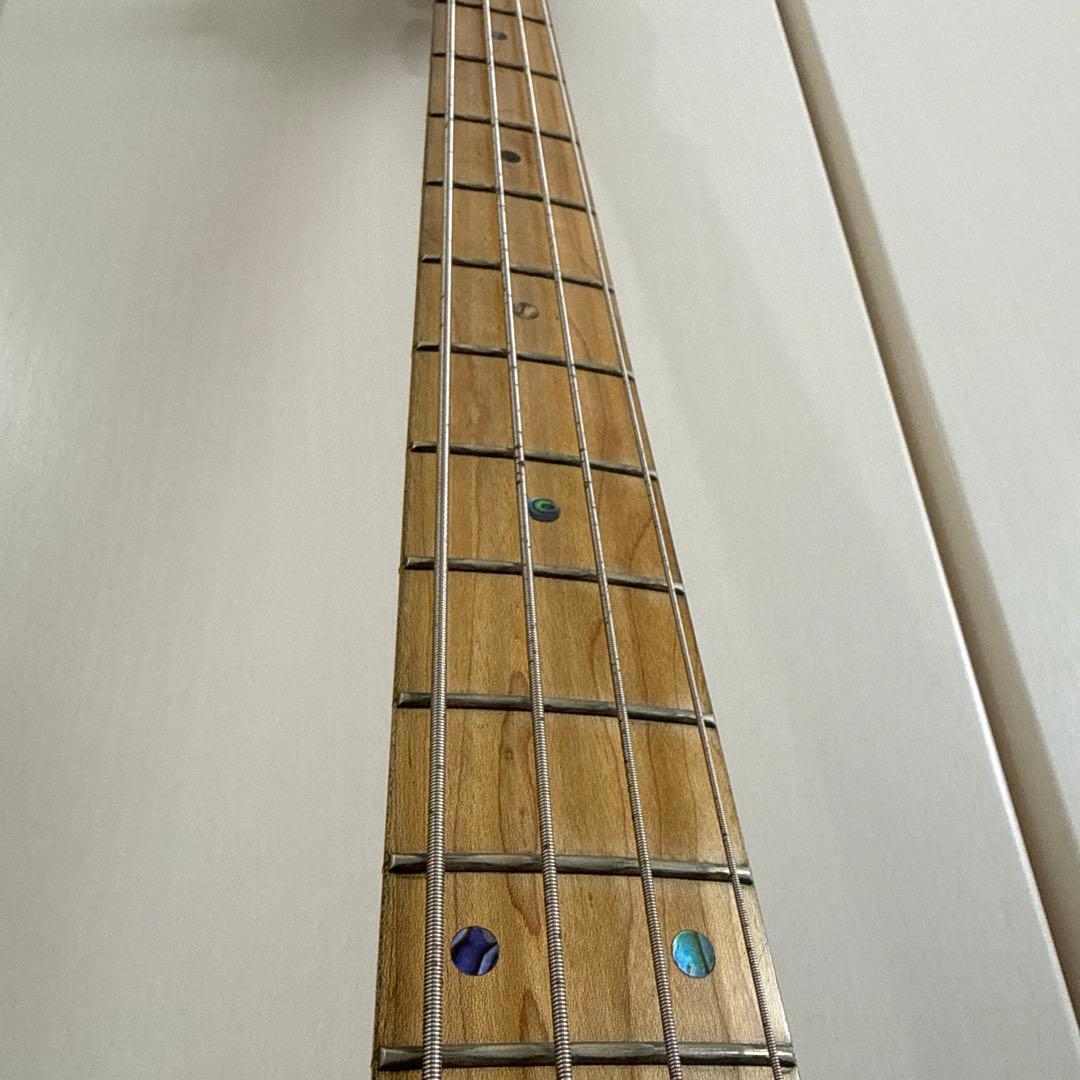 A*O様 Edwards E-T-125BZ tetsuya