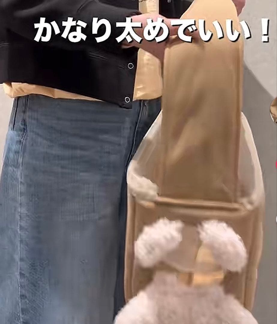 【新品】3COINS ひょっこり顔出しバッグ　本日発売商品♡※オンライン完売商品