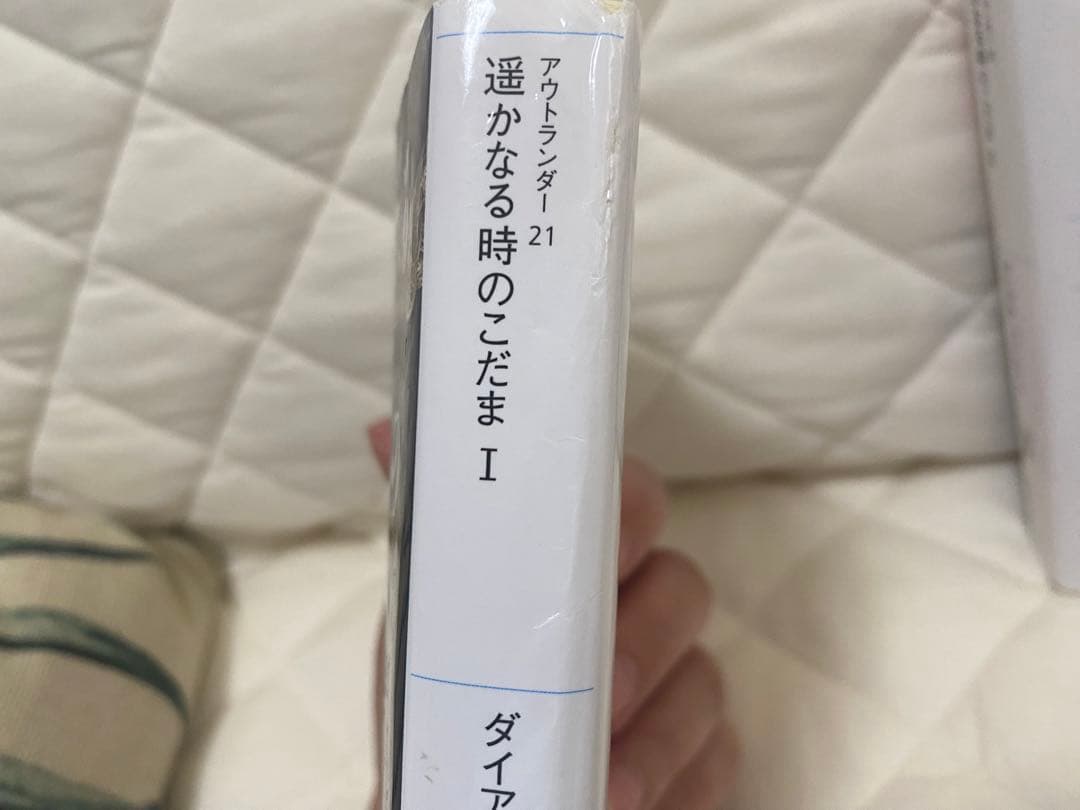遥かなる時のこだま