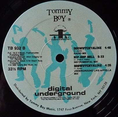 洋楽 DIGITAL UNDERGROUND/DOOWUTCHYALIKE US 12