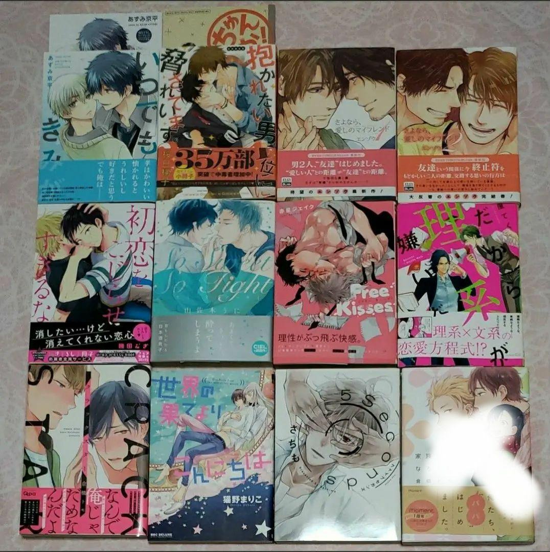 BLコミック まとめ売り バラ売り可 漫画 ボーイズラブ　⑩