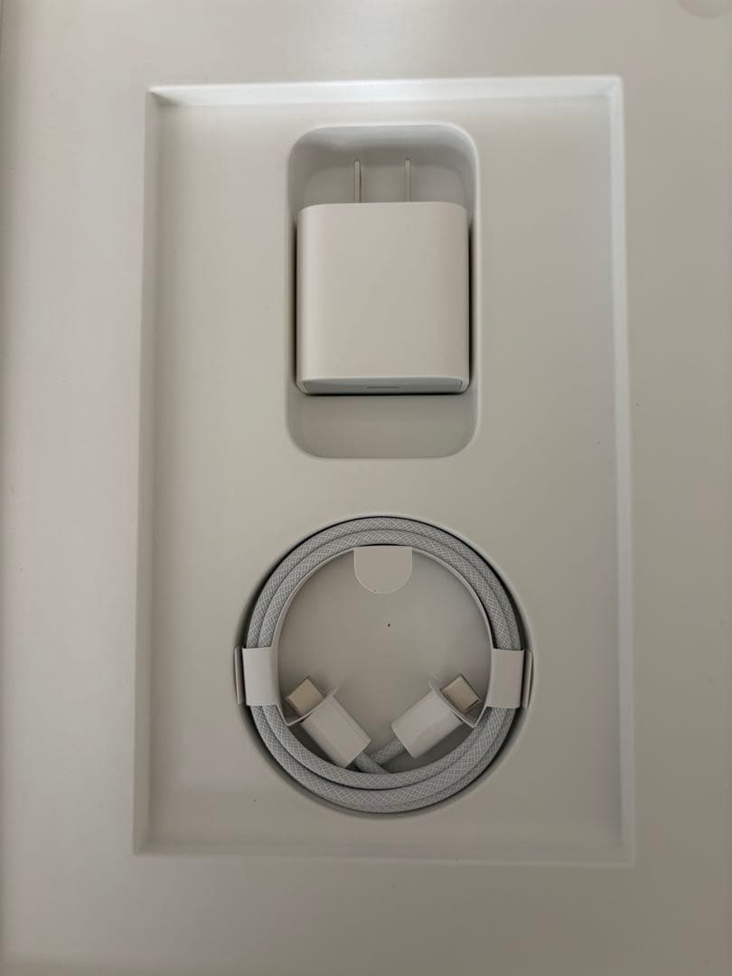 Apple iPad 第10世代 64GB WiFiモデル 本体 青【美品】