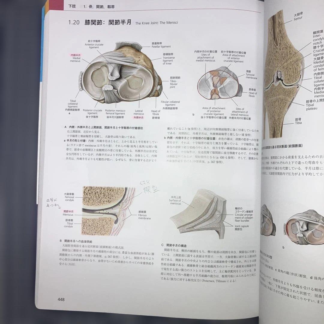 プロメテウス解剖学　　アトラス頭頸部/神経解剖解剖学総論/運動器系　　第3版2冊