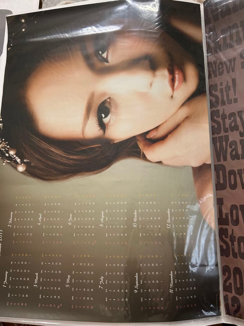 セ*リ様 安室奈美恵ポスター14枚セット＋1枚オマケ