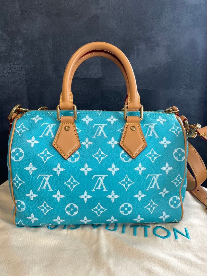 LOUIS VUITTON スピーディ25 ターコイズブルー P9