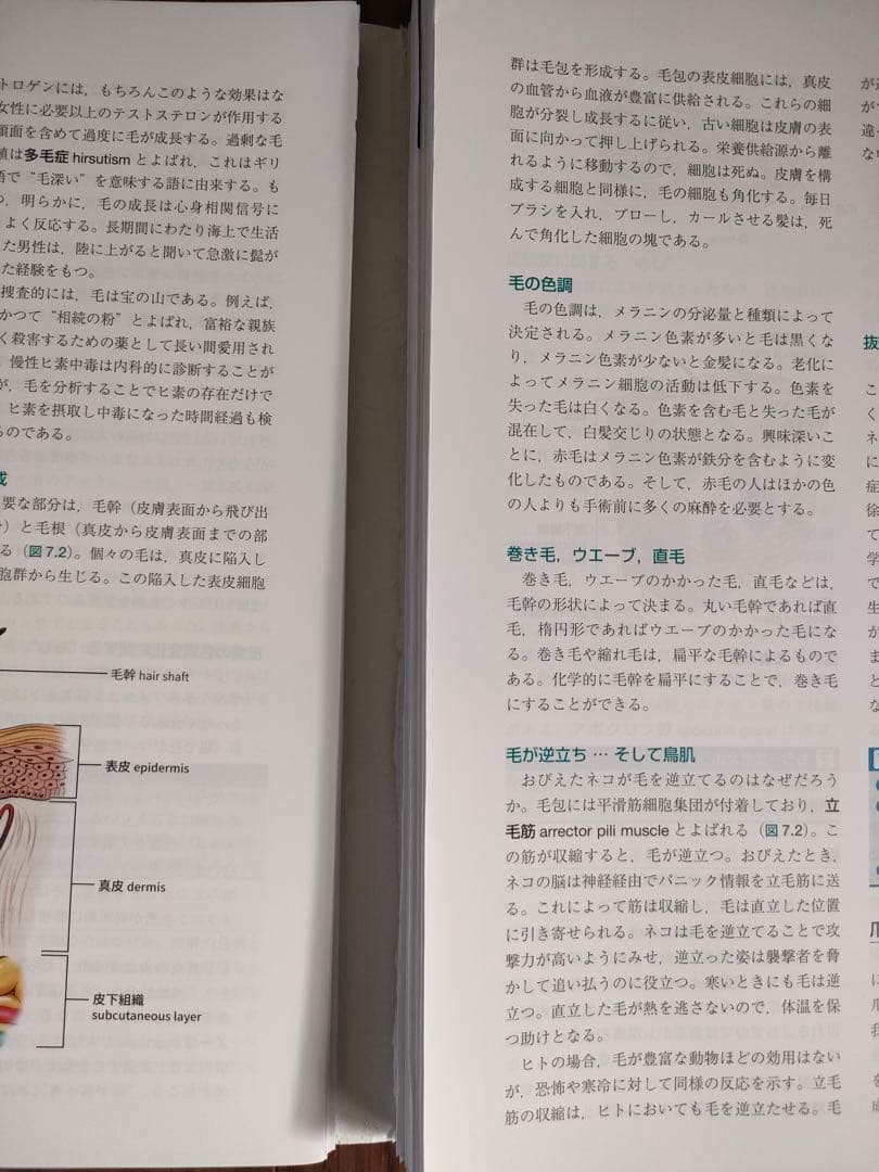ヒューマンボディ 原著第7版　※裁断済み