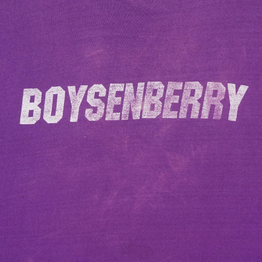70s Haagen-Dazs®︎ \"BOYSENBERRY\"