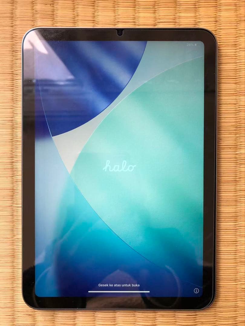 Apple iPad mini (A17) Pro 128GB スペースグレー