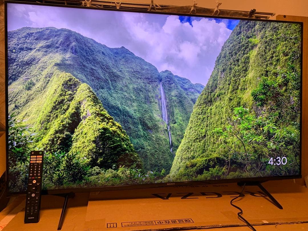 ソニー 55V型 4K 液晶 テレビ ブラビア XRJ-55X90J