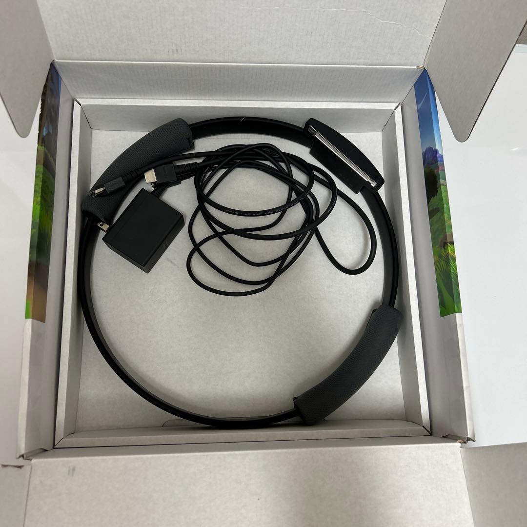 NintendoSwitch ニンテンドースイッチ