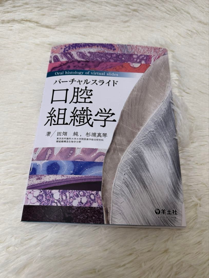 バーチャルスライド　口腔組織学　羊土社