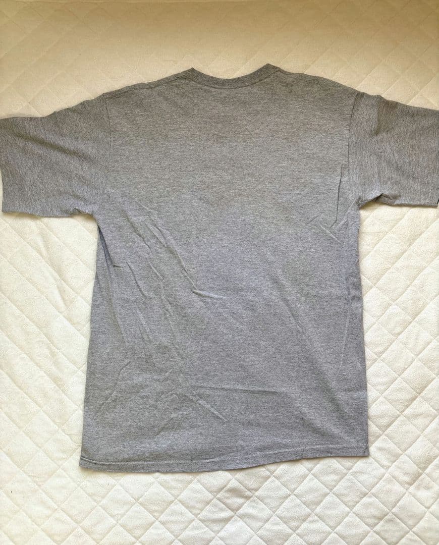 90s oldstussy STANDFIRM Tシャツ グレー　XL