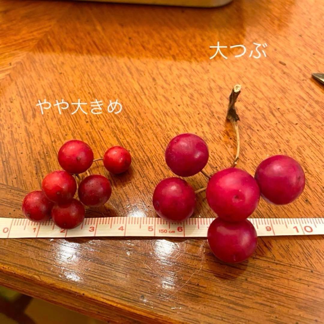 ⚠️専用品⚠️特別な日の特別な サンキライ リース　クリスマス → お正月