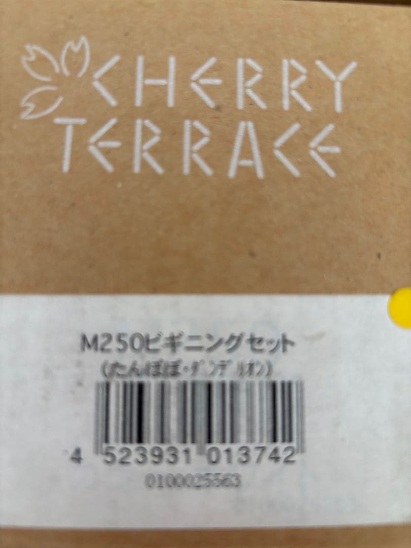 3/8限定お値下げ バーミックス デラックスセット M250