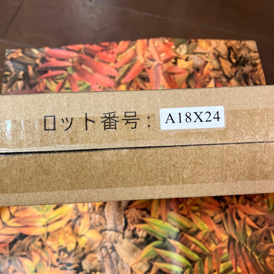 アラミックシルキーナノバブル(ランドリー)洗濯ホース☆新品☆未開封