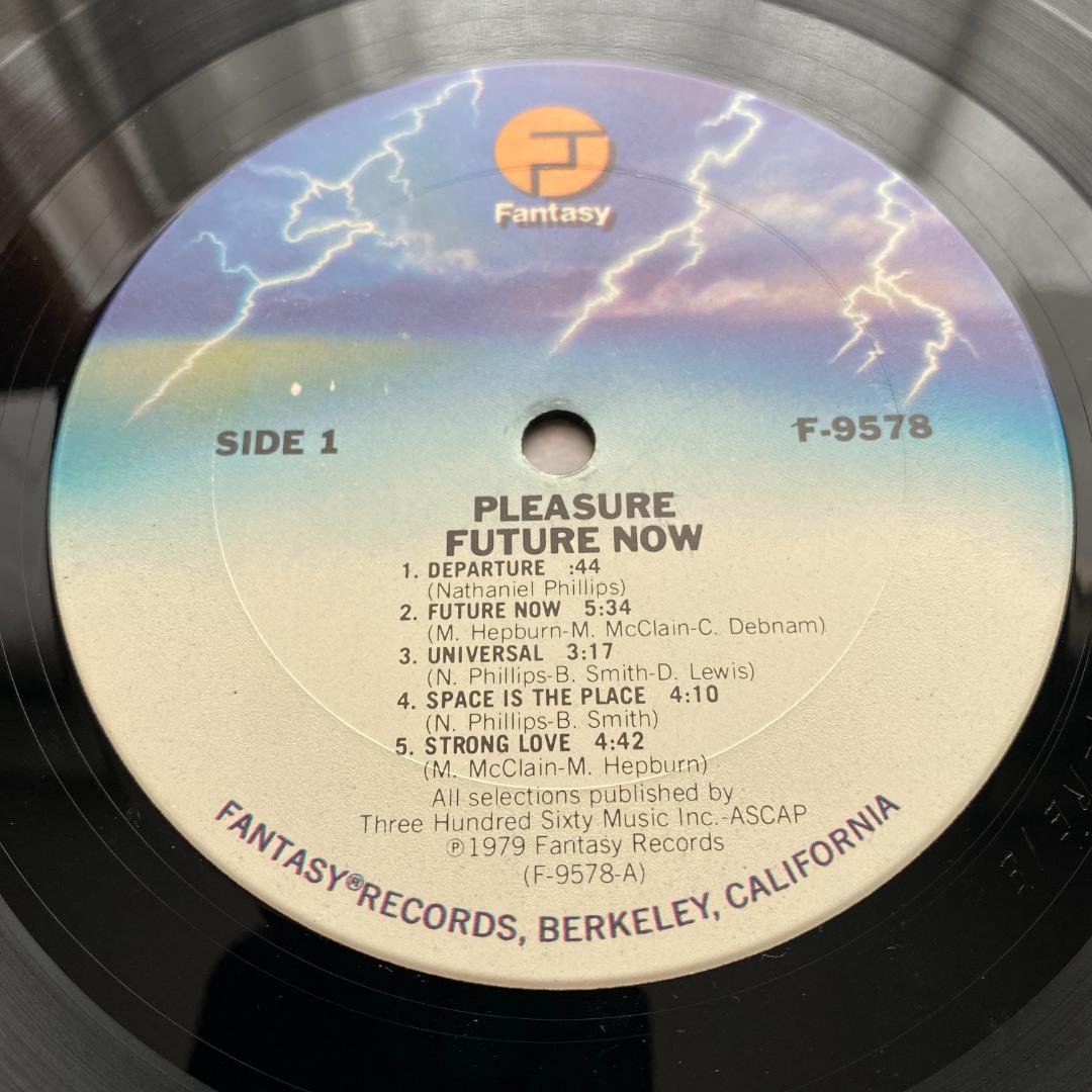 邦楽 LP Pleasure Future Now US ORG