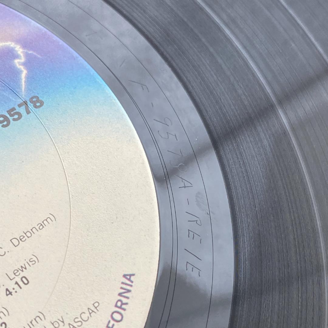 邦楽 LP Pleasure Future Now US ORG