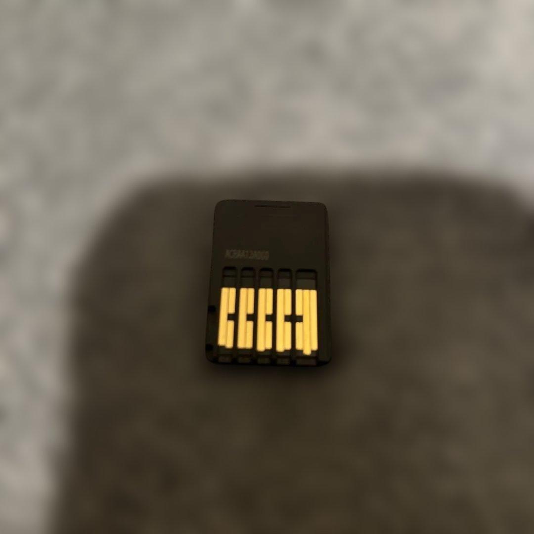 Nintendo Switch あつまれどうぶつの森ソフト&どうぶつの森ケース