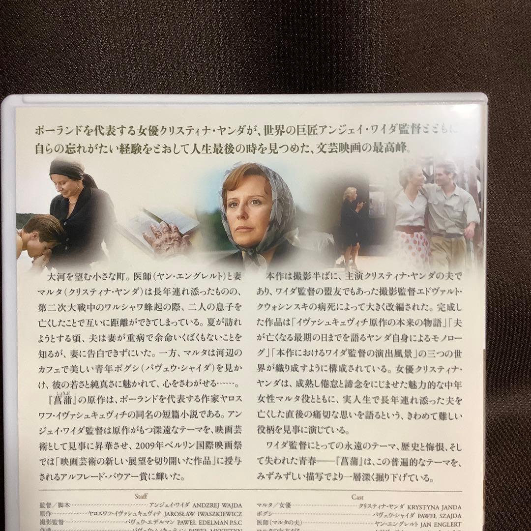 【廃盤】『菖蒲』アンジェイ・ワイダ/クリスティナ・ヤンダ(DVD)【セル版】