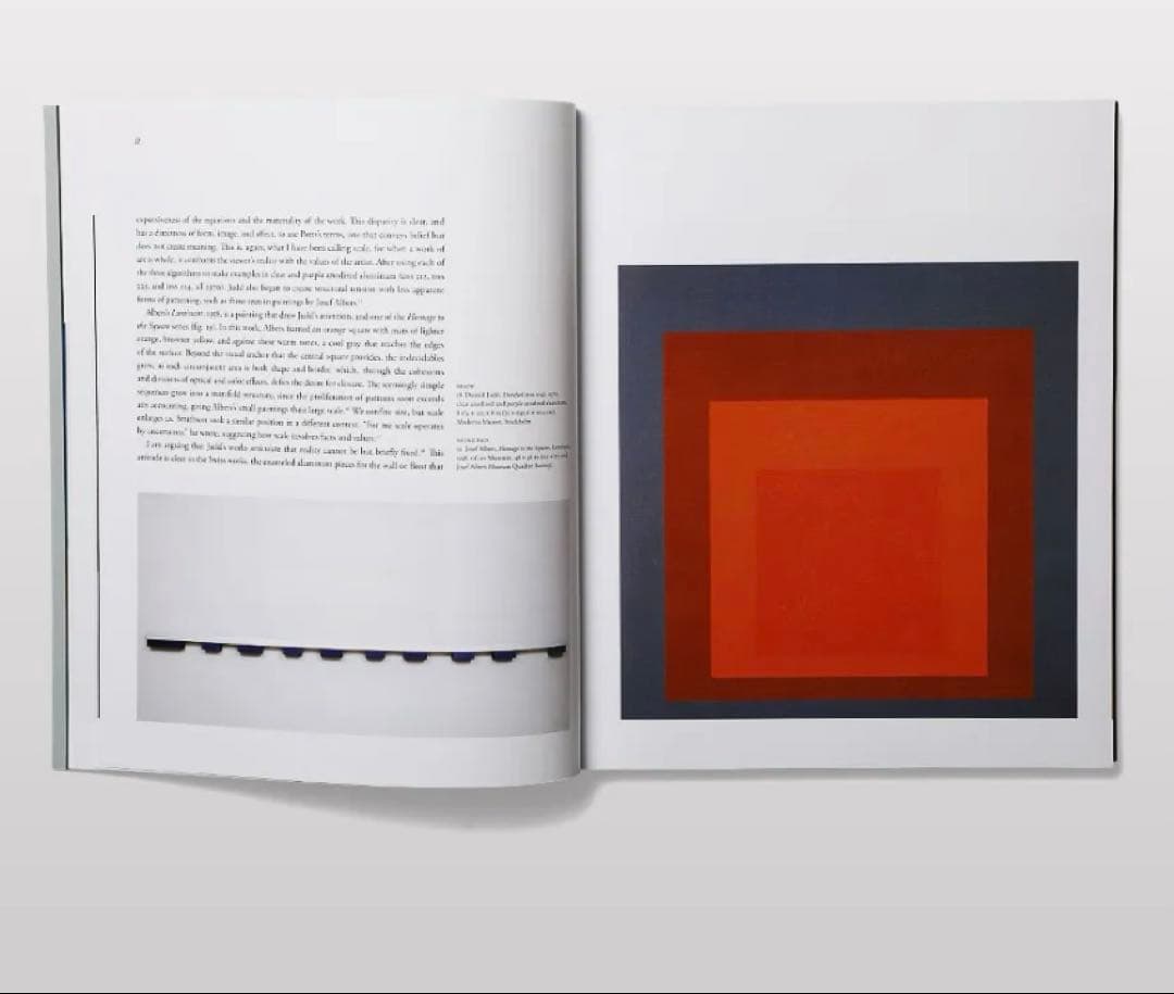 DONALD JUDD ドナルドジャッド　本　BOOK